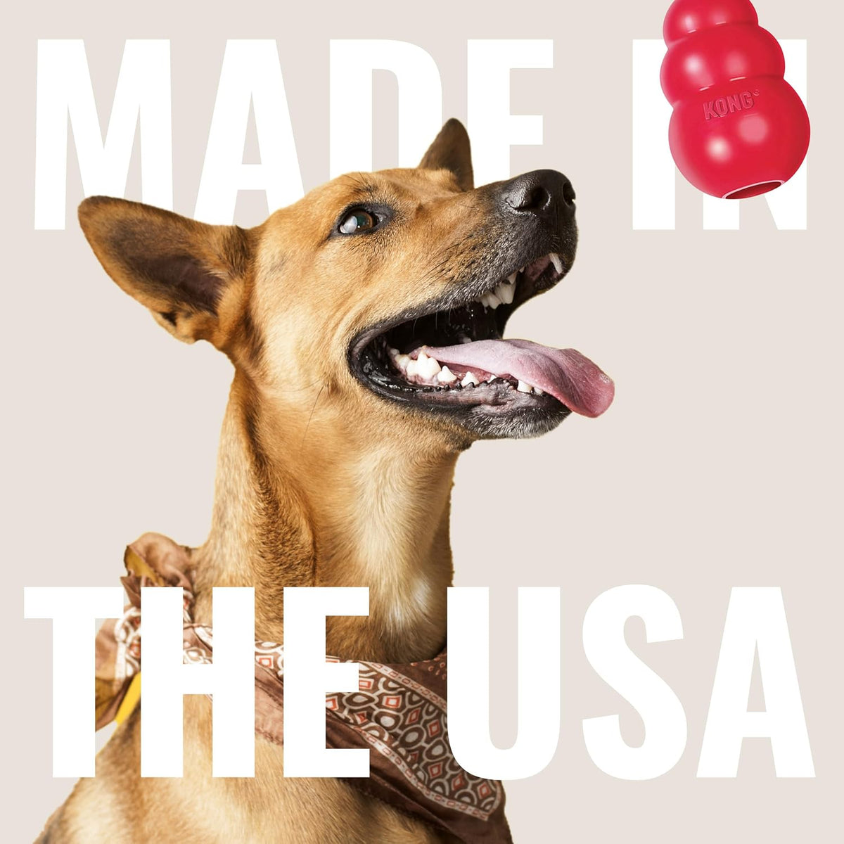Classic Stuffable Dog Toy, Natural Rubber, for Large Dogs (Pack of 2)