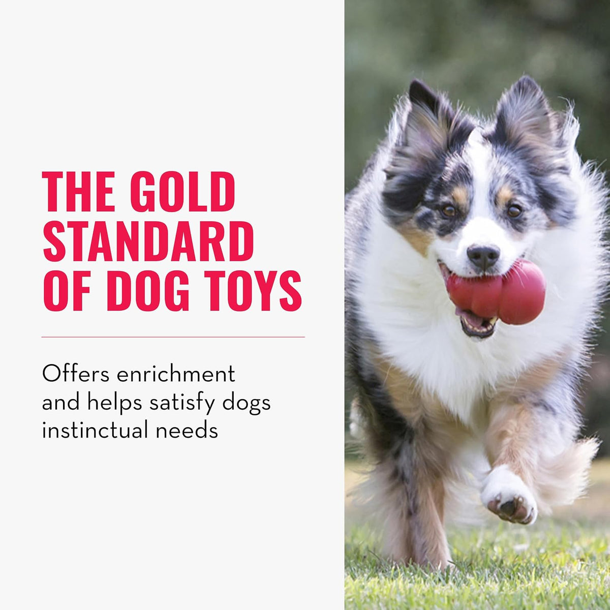 Classic Stuffable Dog Toy, Natural Rubber, for Large Dogs (Pack of 2)