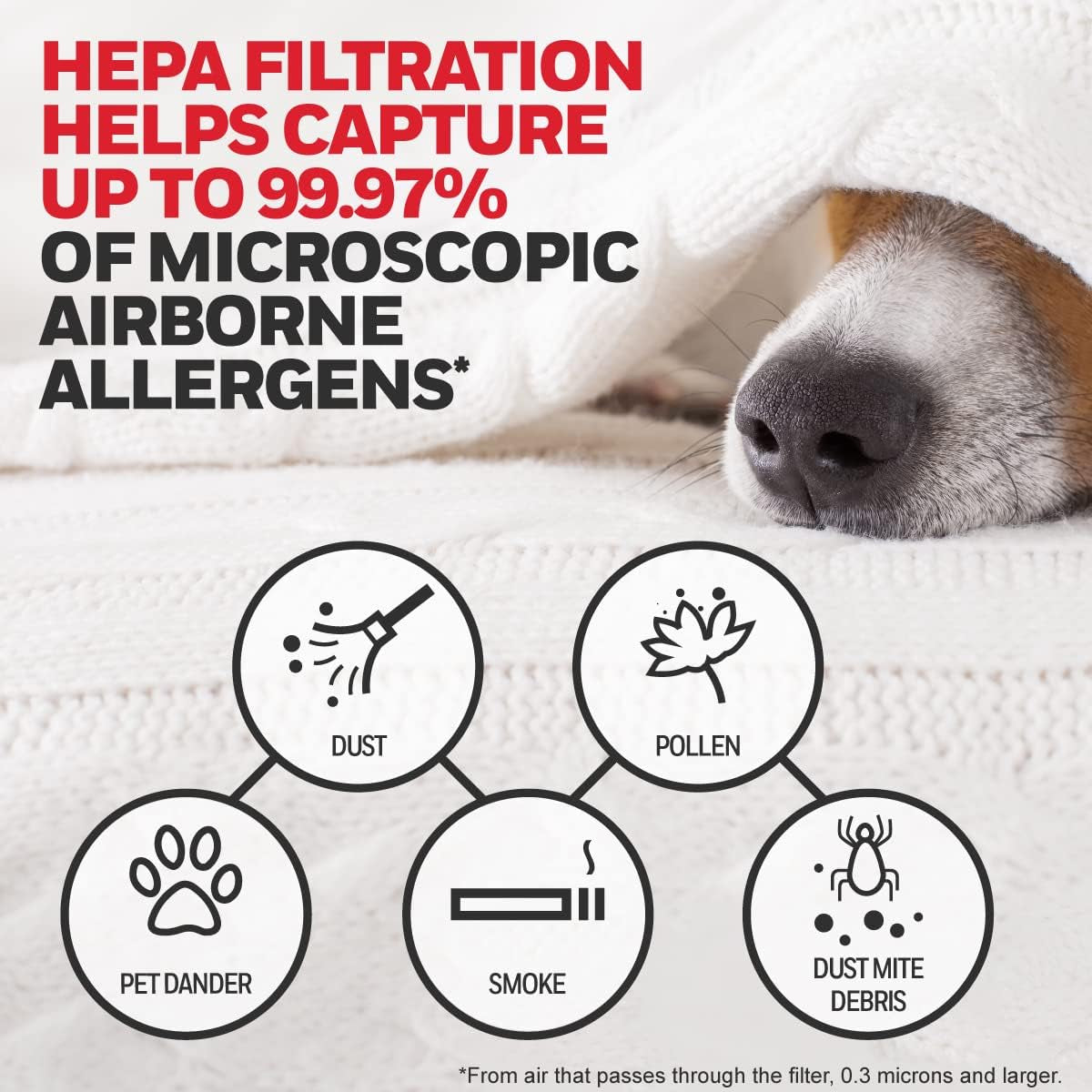 HEPA Air Purifier Filter Kit with 2 R HEPA and 1 a Roll Filter
